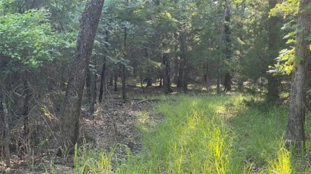 Picture 6
