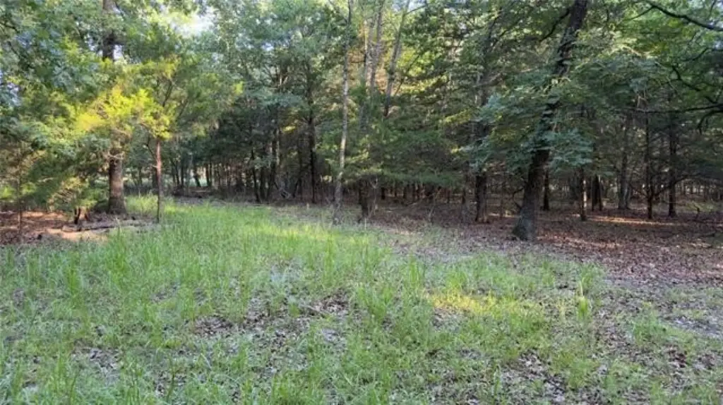 Picture 14