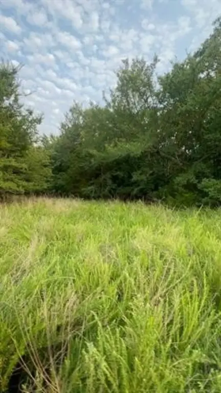 Picture 40