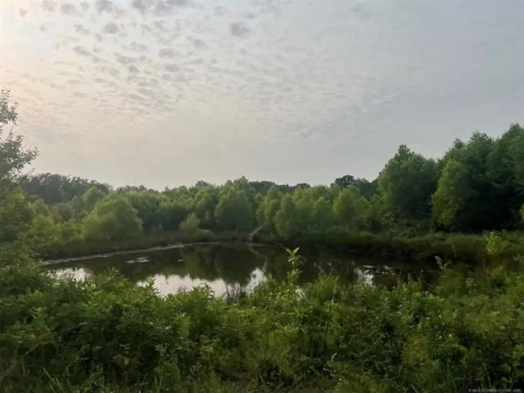 Picture 29