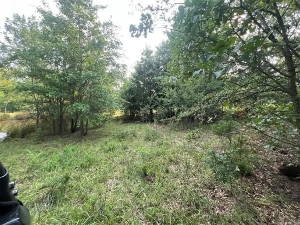 Picture 15