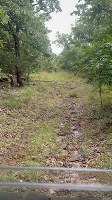 Picture 35