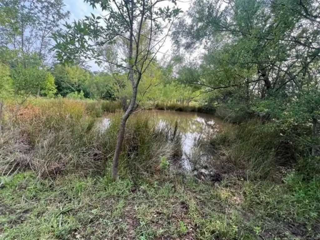 Picture 16