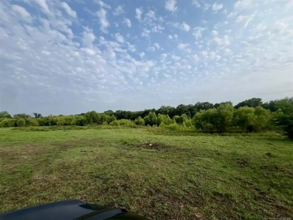 Picture 11