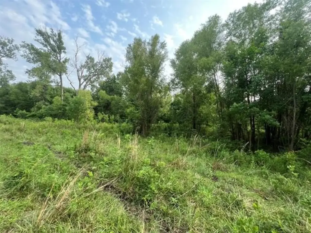 Picture 19