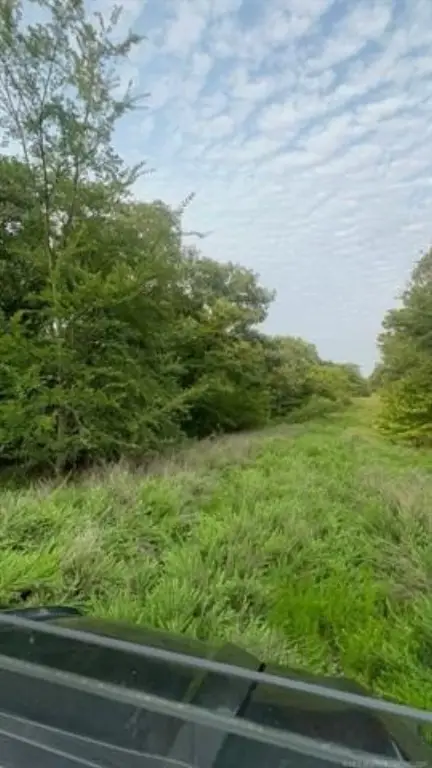 Picture 44