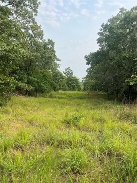 Picture 33