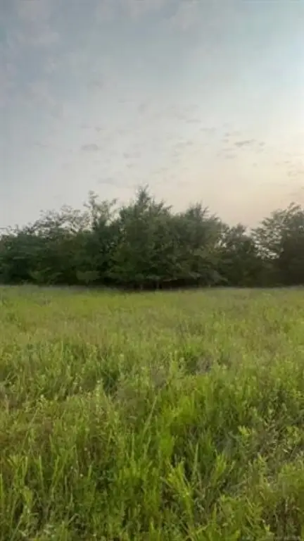 Picture 41