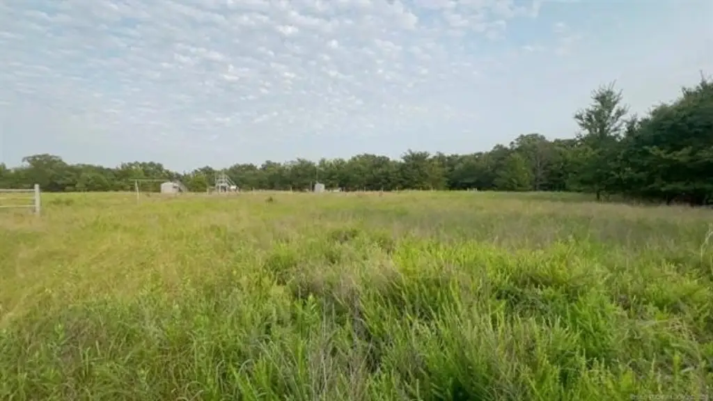 Picture 32