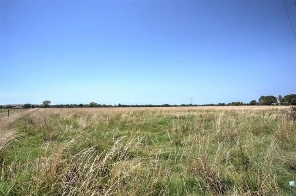 Picture 3