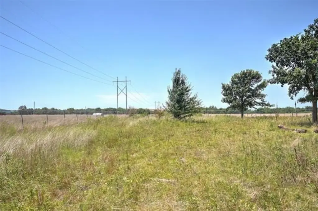 Picture 6