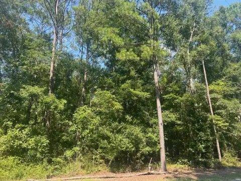 Picture of Land at Pebble Cove Rd 203, Abbeville, AL