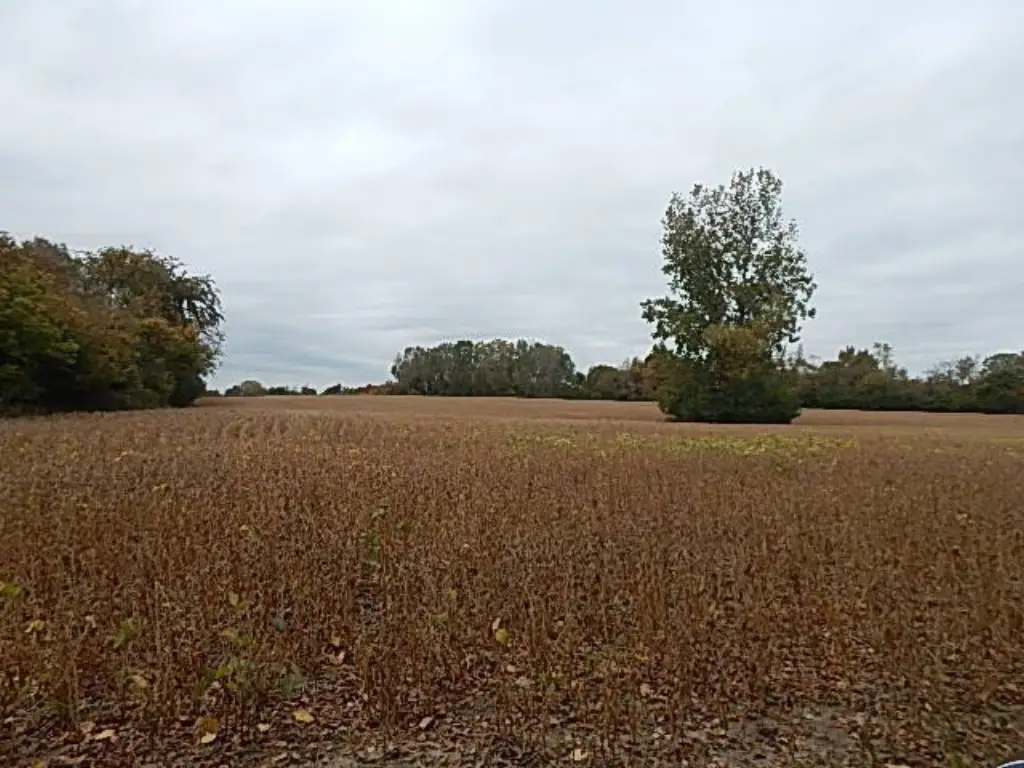 Picture 57