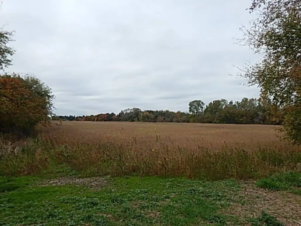 Picture 52
