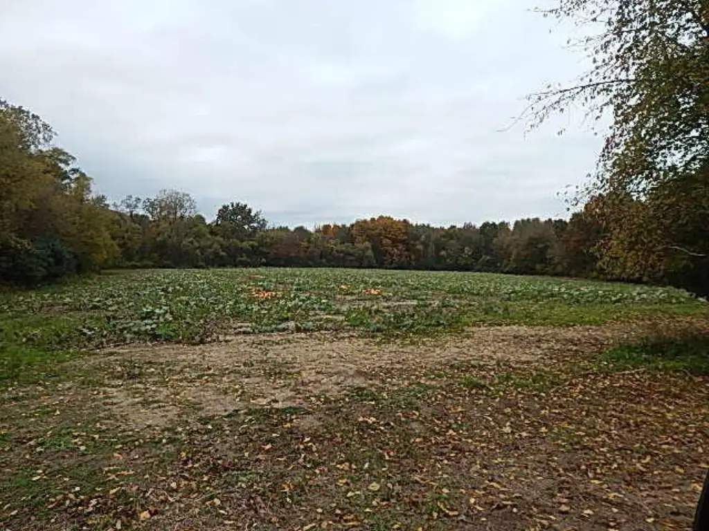 Picture 58