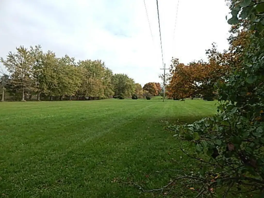 Picture 25