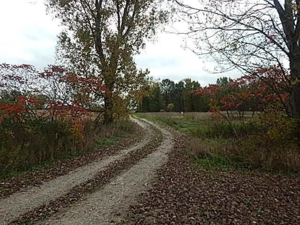 Picture 40