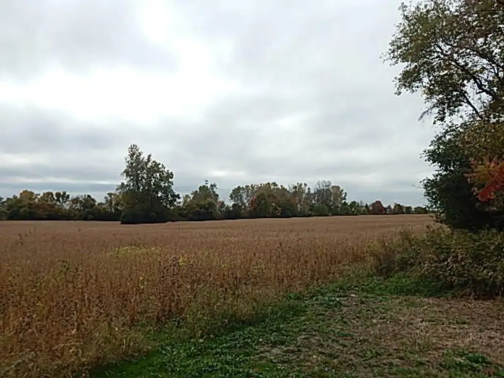 Picture 53