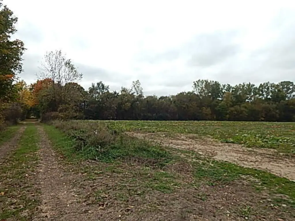 Picture 46