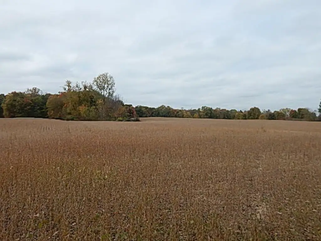 Picture 38