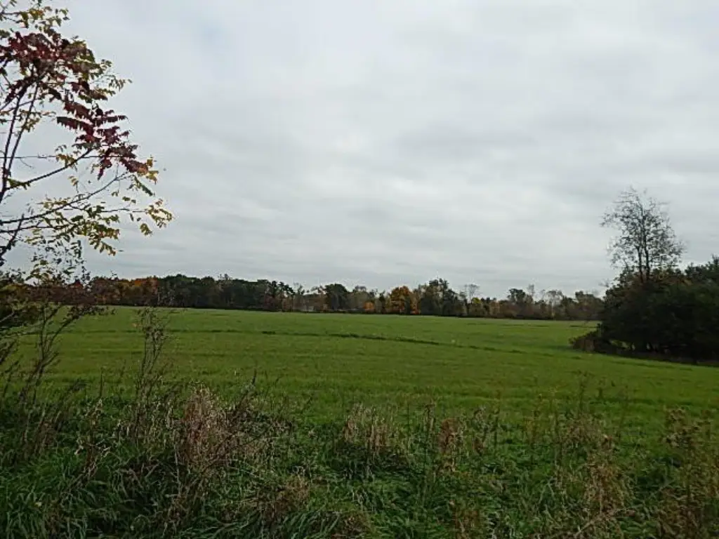 Picture 48