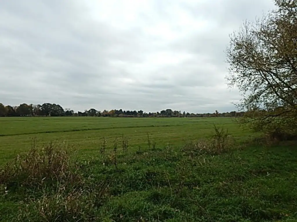 Picture 50