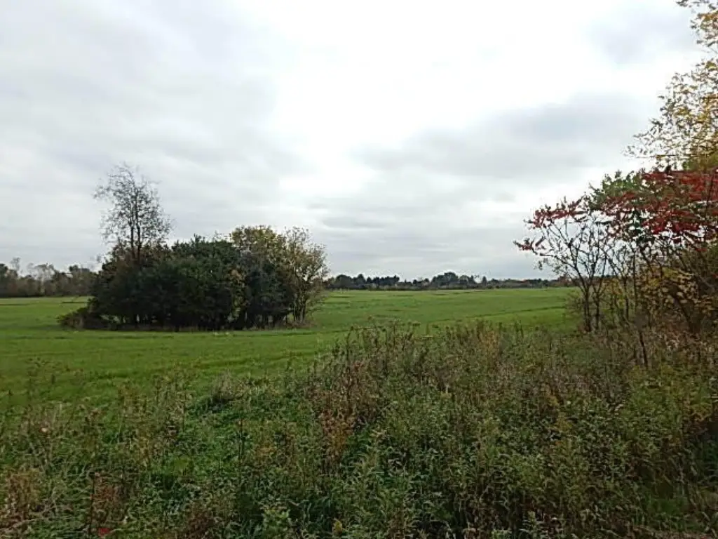 Picture 47