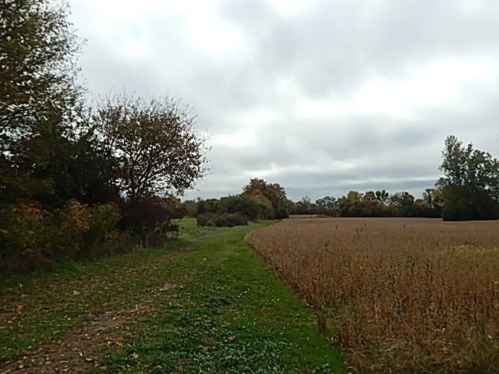 Picture 54