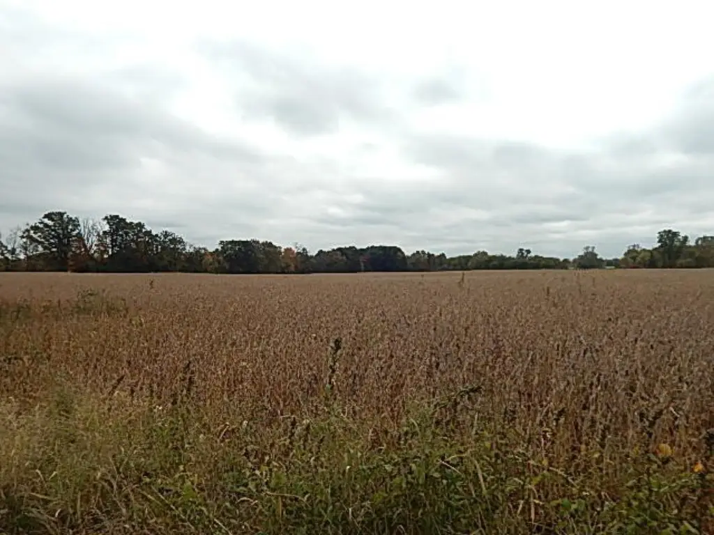 Picture 29