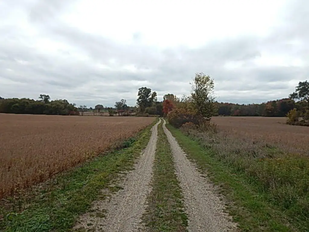 Picture 34