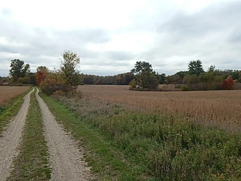 Picture 33