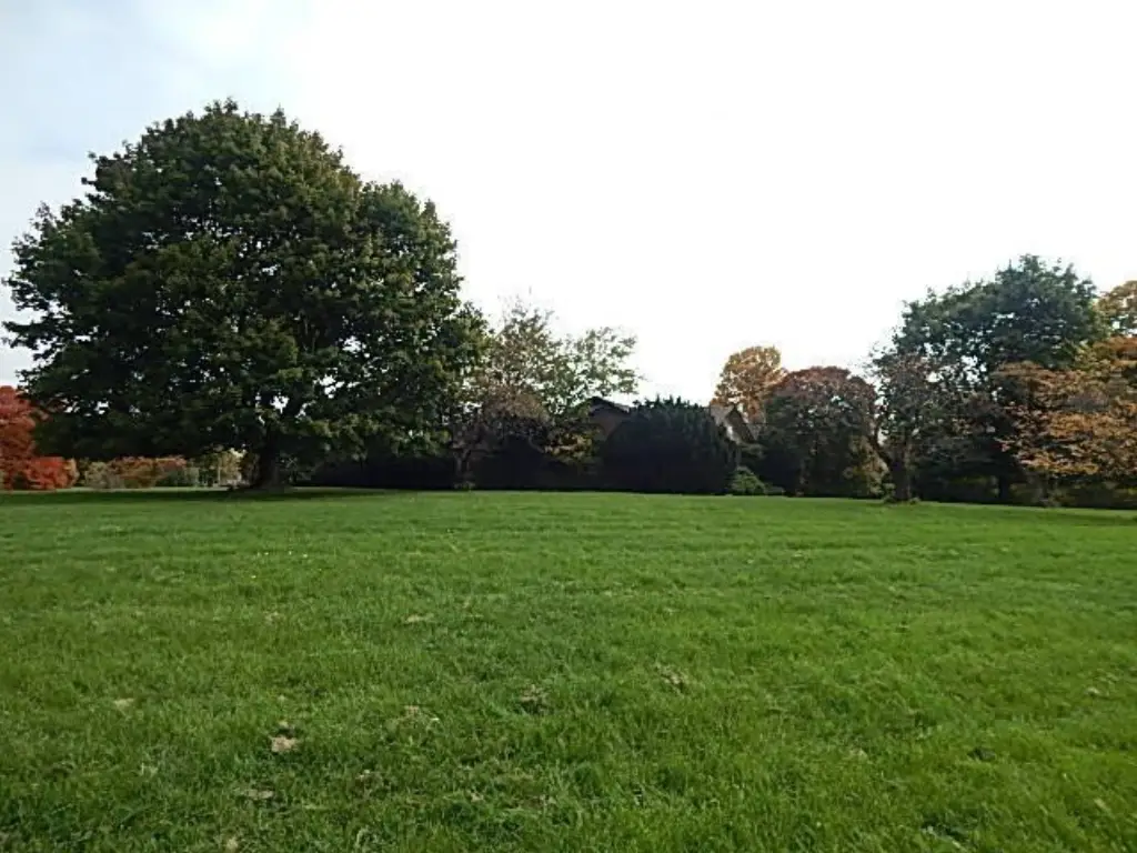 Picture 26