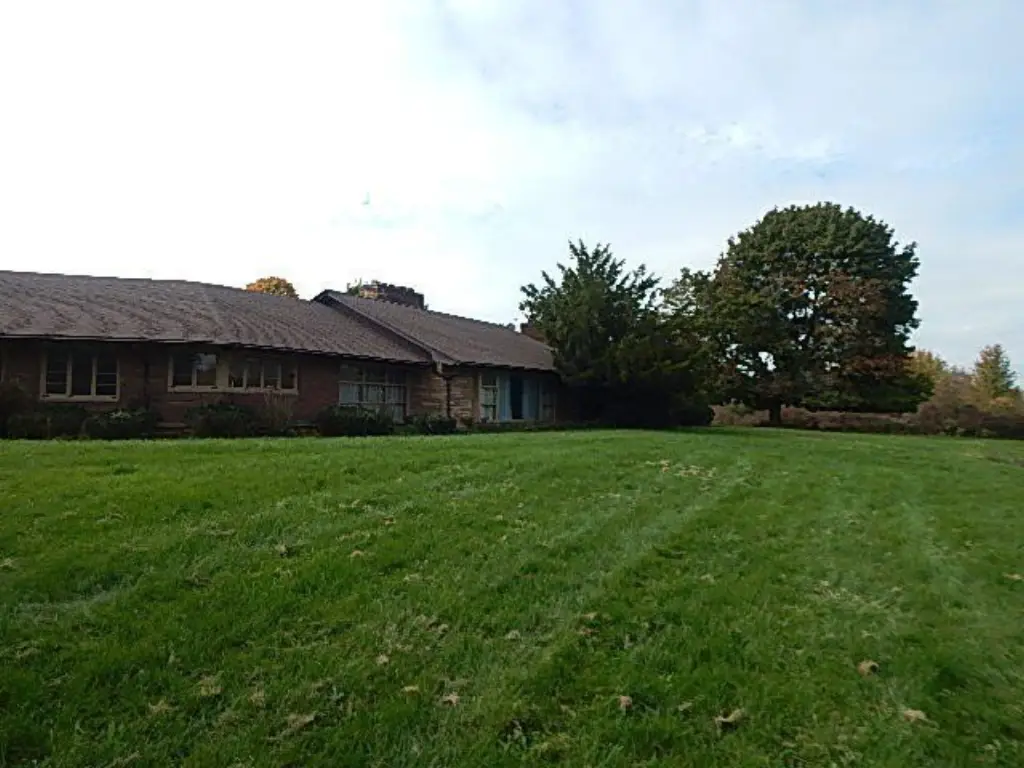Picture 21