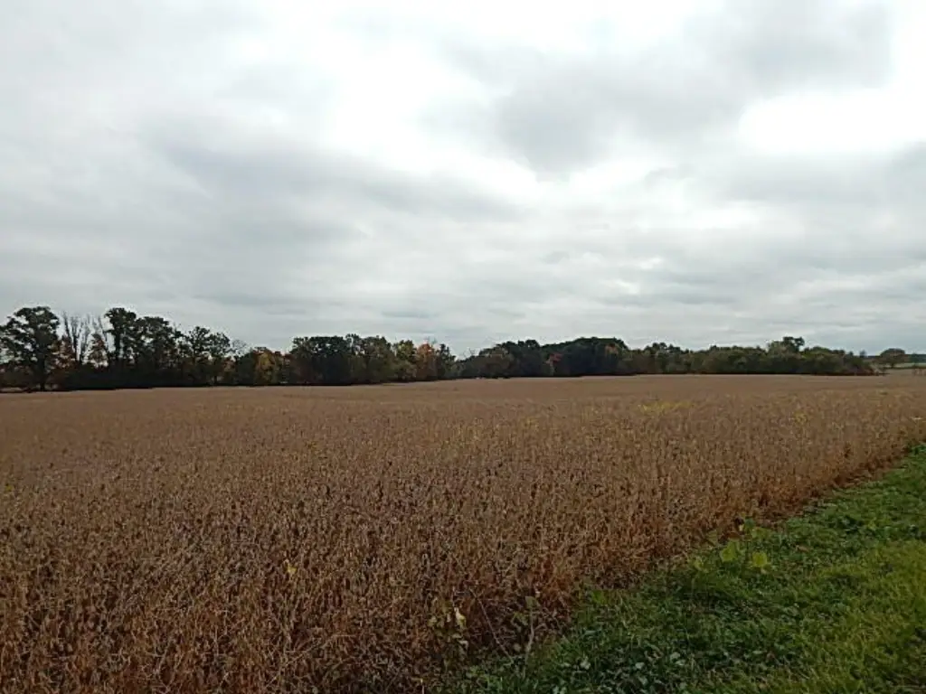 Picture 30