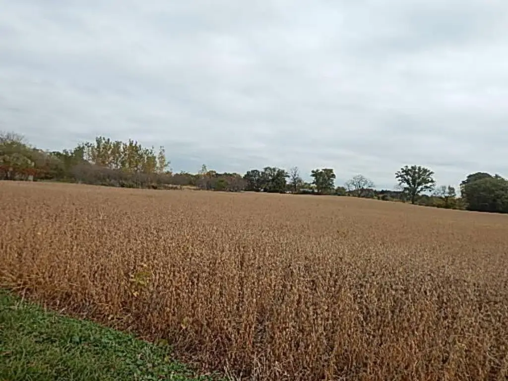Picture 31