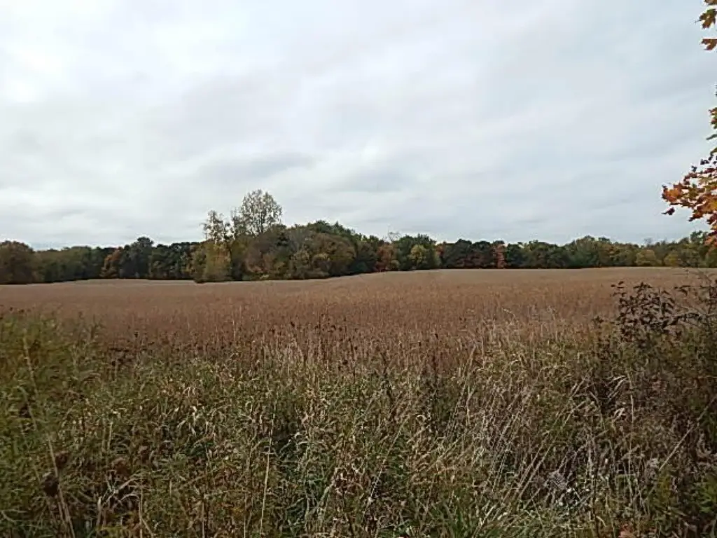 Picture 36