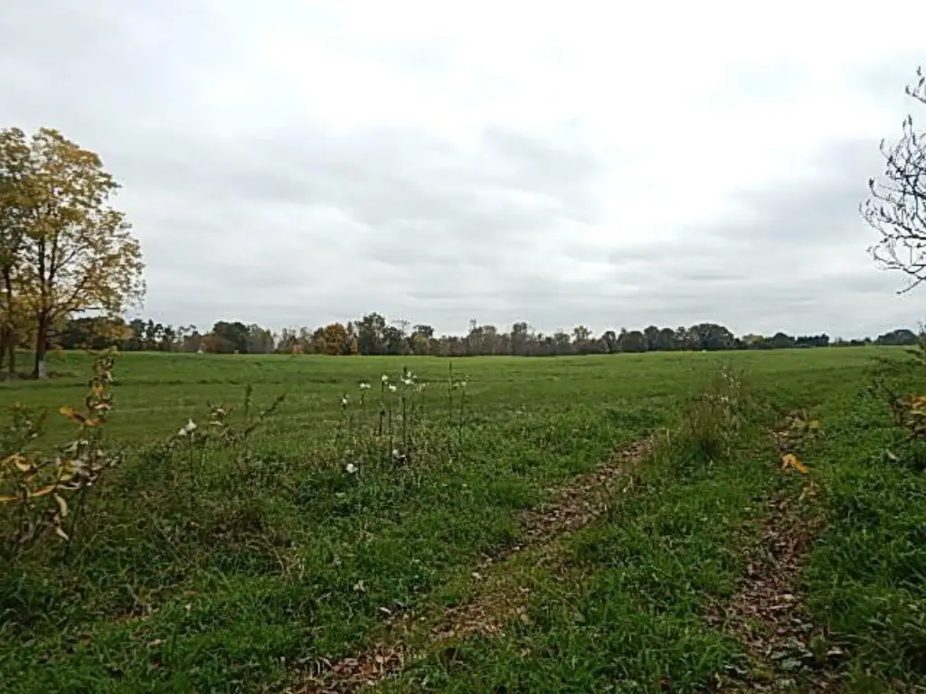 Picture 42