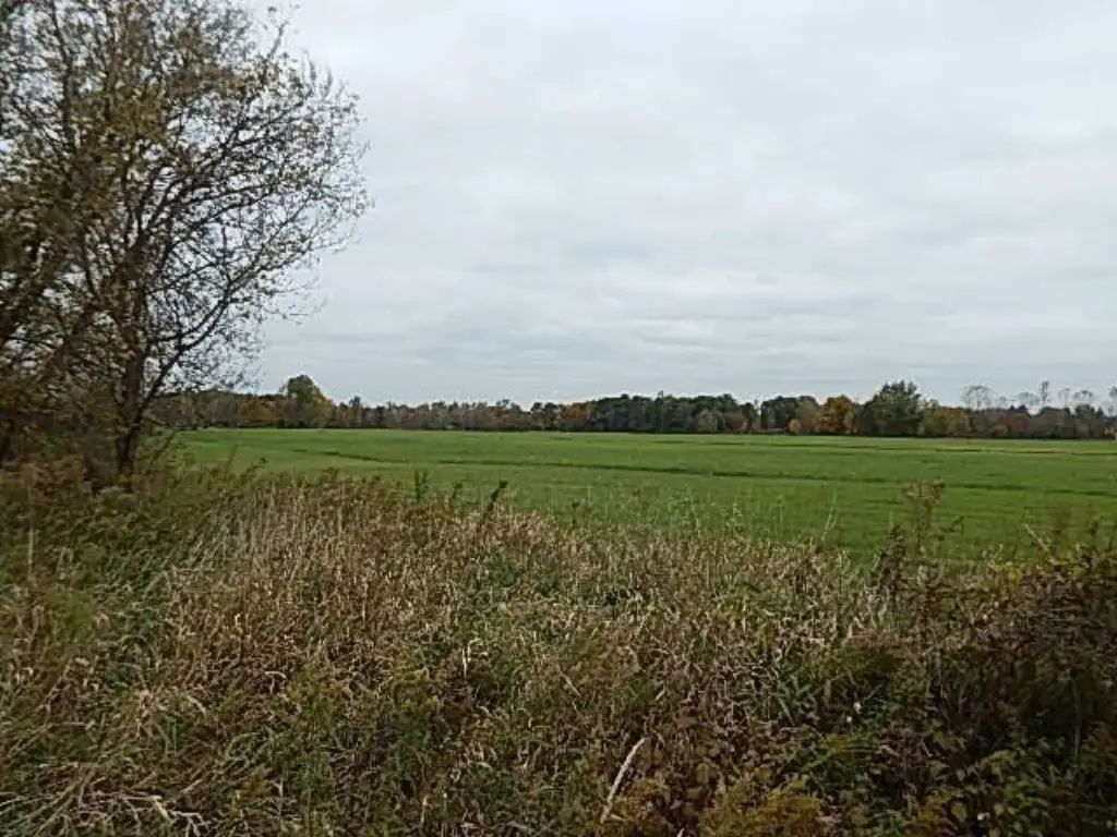 Picture 51