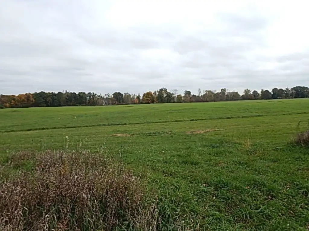 Picture 43