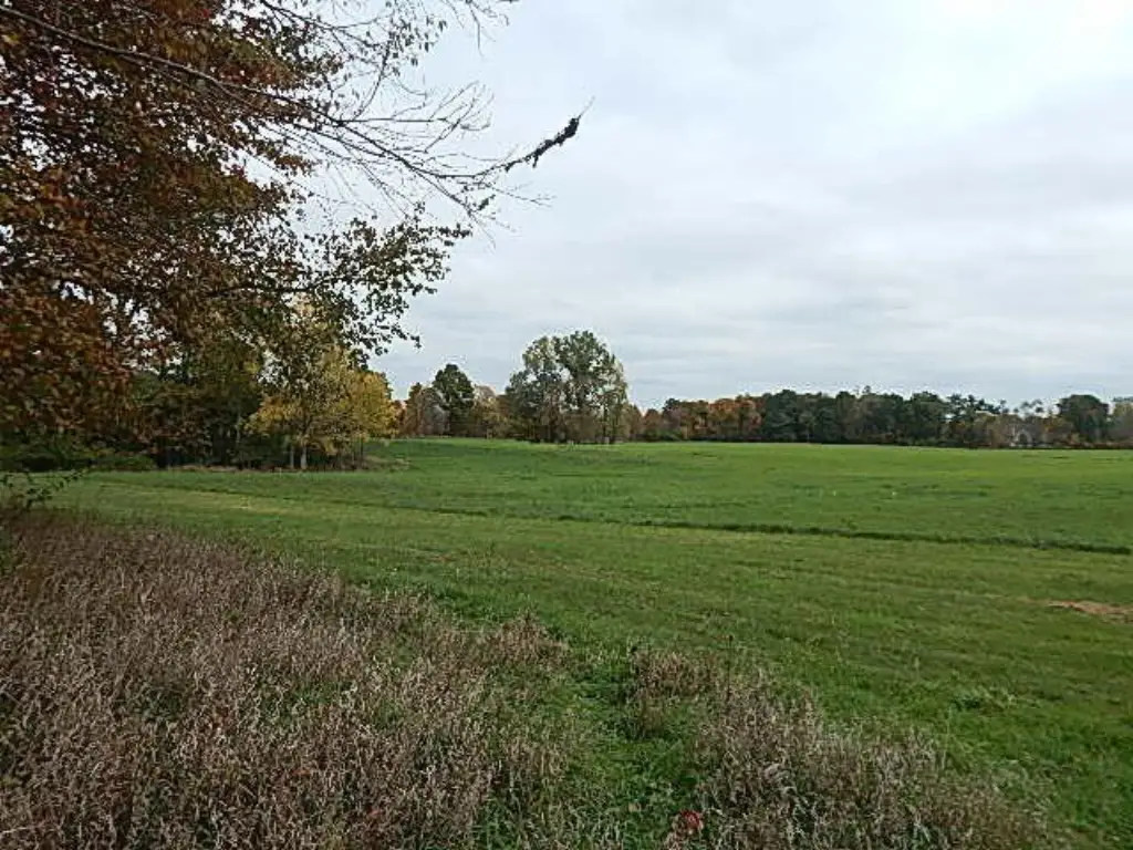 Picture 44