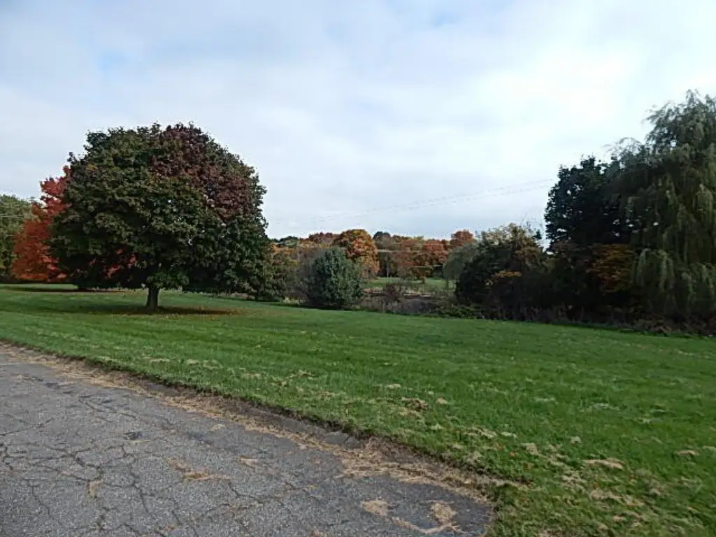 Picture 17