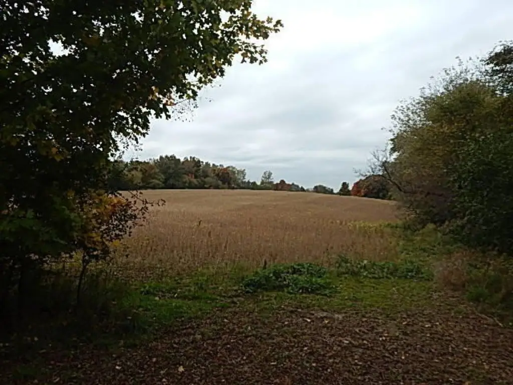 Picture 49