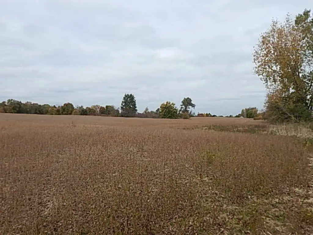 Picture 37