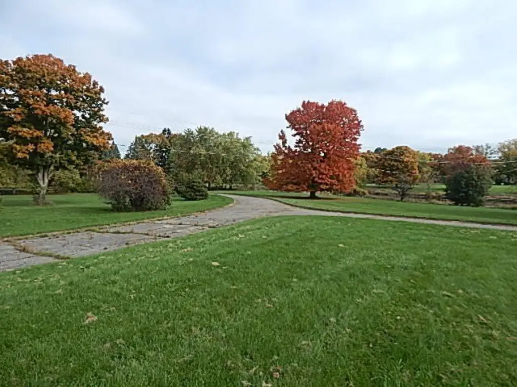 Picture 22
