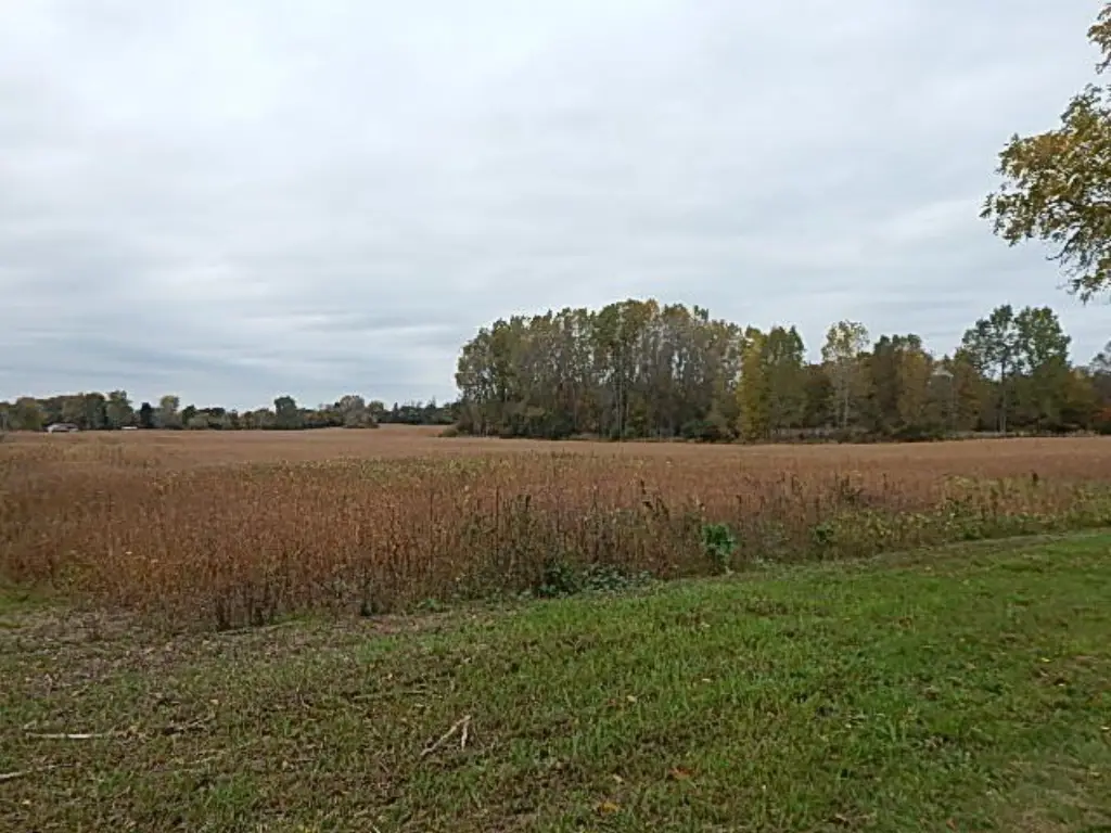 Picture 56