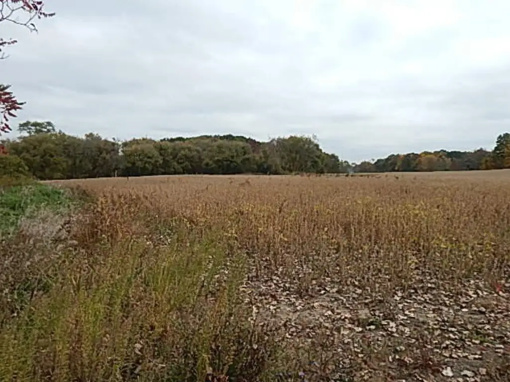Picture 41