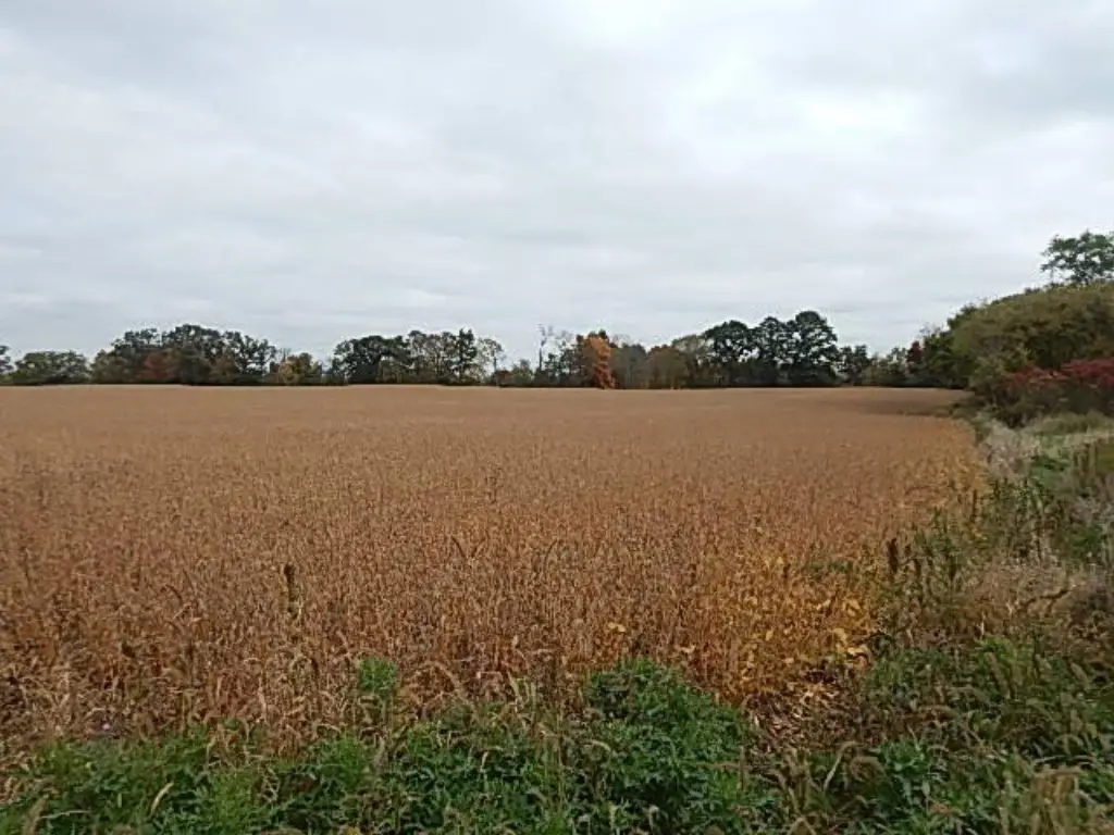 Picture 35