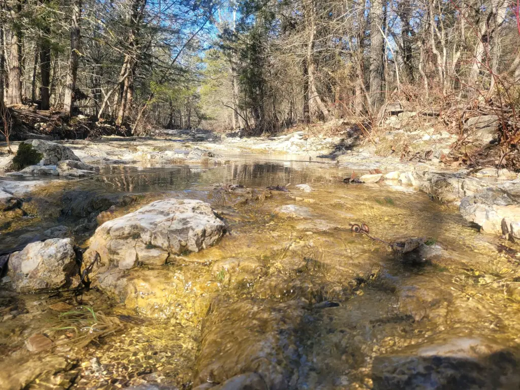 Picture 10