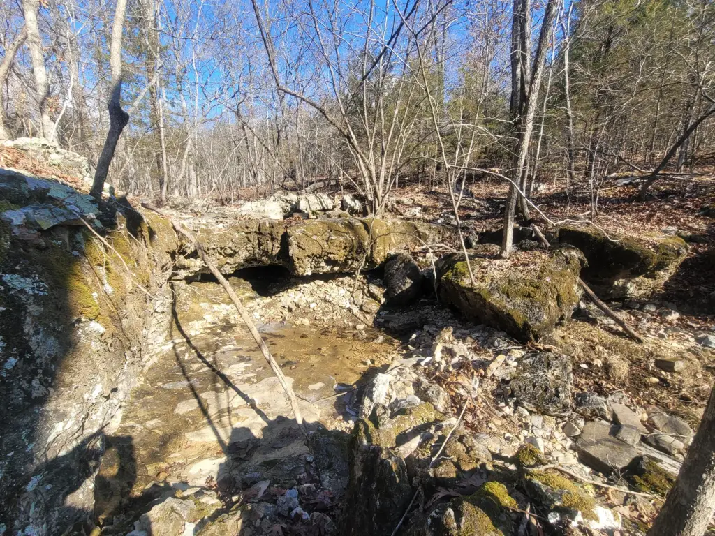 Picture 14