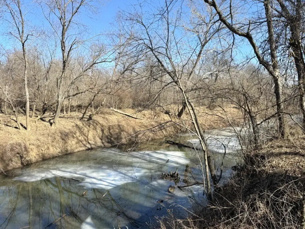 Picture 28